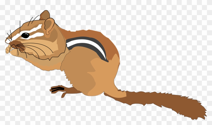 Chipmunk Clipart Small Squirrel - Chipmunk Clipart - Png Download #4794619