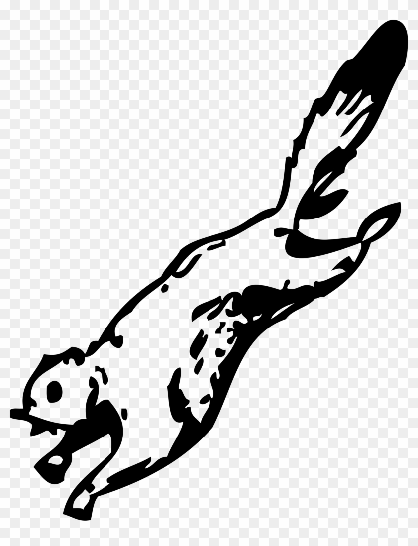 Vector Squirrel Branch Clipart - Png Download