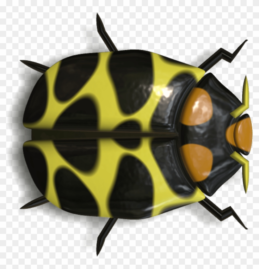 Download Ladybug Black And Yellow Transparent Png - Imagenes De Insectos En Png Clipart #4795036