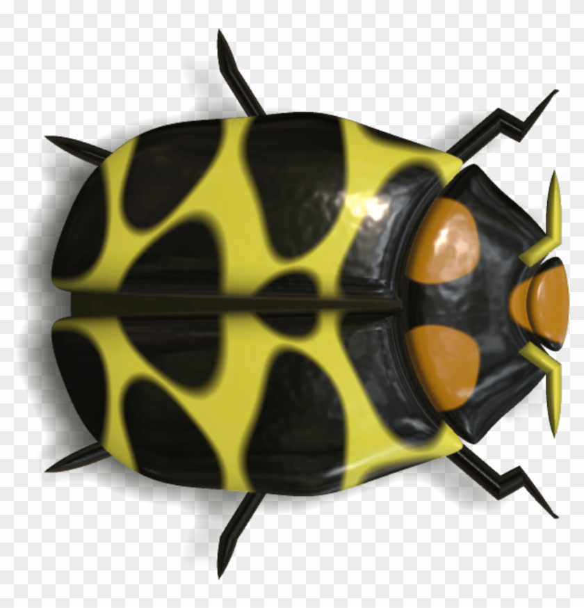 Download Ladybug Black And Yellow Transparent Png - Imagenes De Insectos En Png Clipart