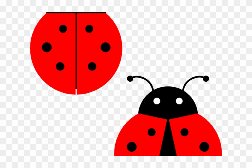 Lady Bug Png Clipart Transparent Png