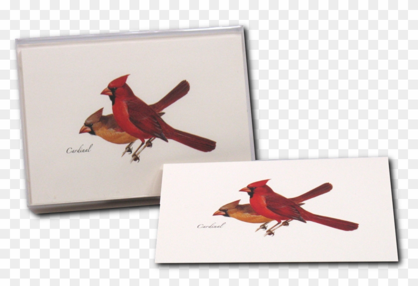 Shopping Cart -  -  Clipart