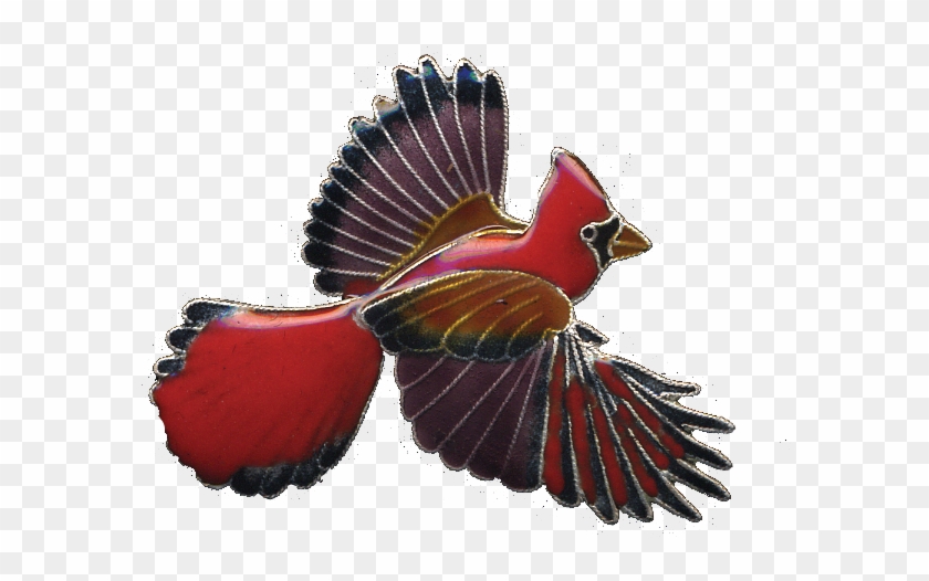 0113pin - Birds - Finch Clipart #4796052