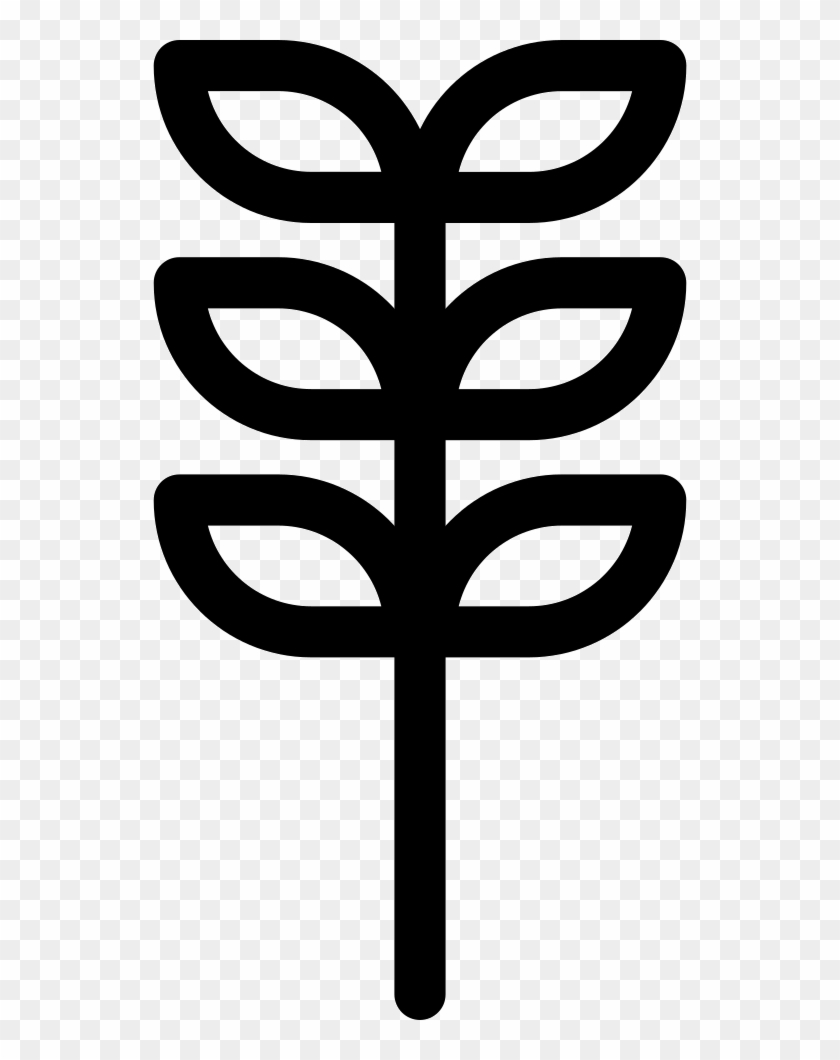 Png File Svg - Alfalfa Icon Clipart #4797154