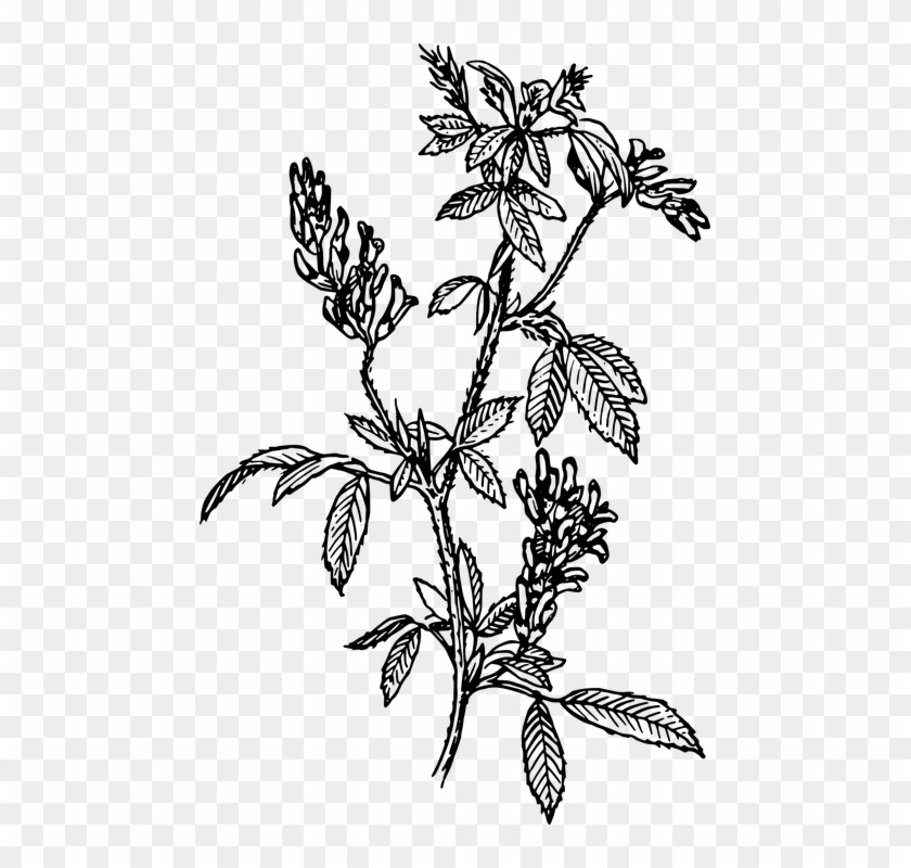 Third Eye Spell Clipart #4797192