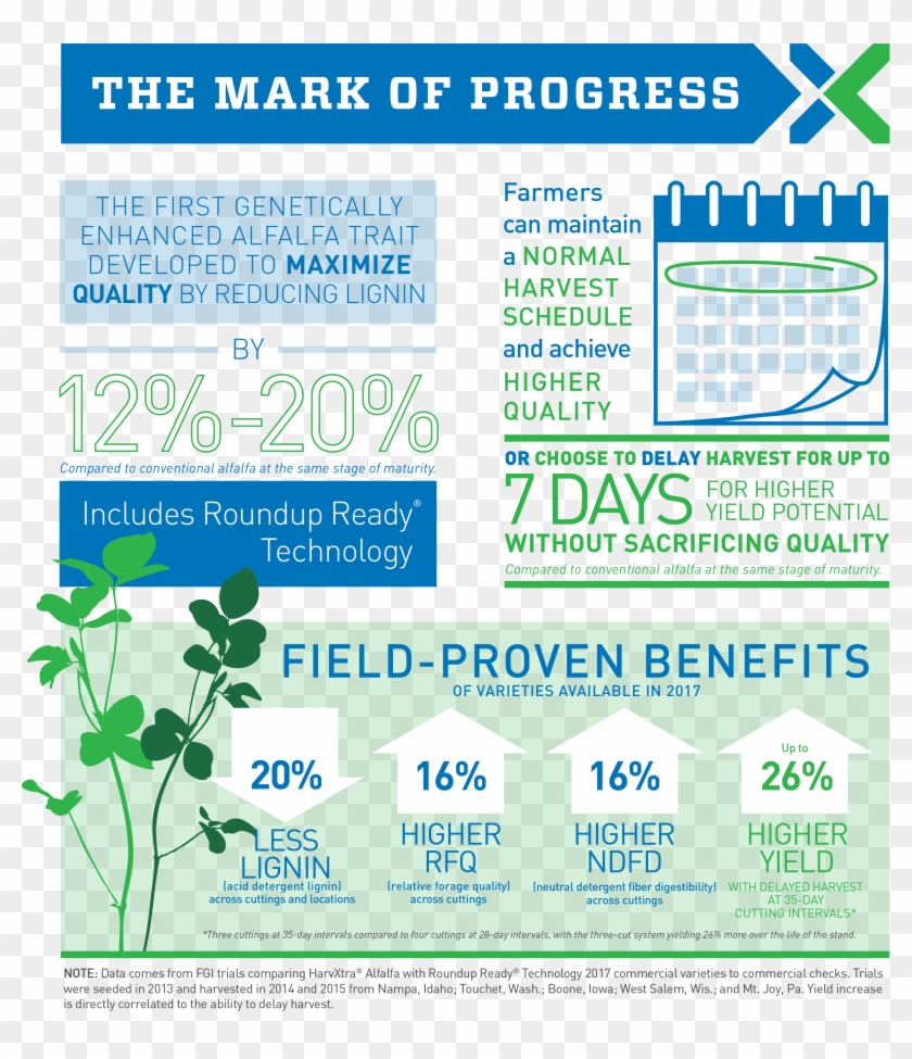 58557 Harvxtra Infographic V17 - Harvxtra Alfalfa Clipart
