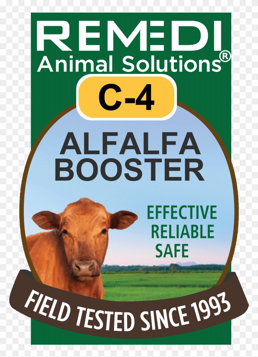 Categories - Cattle Clipart