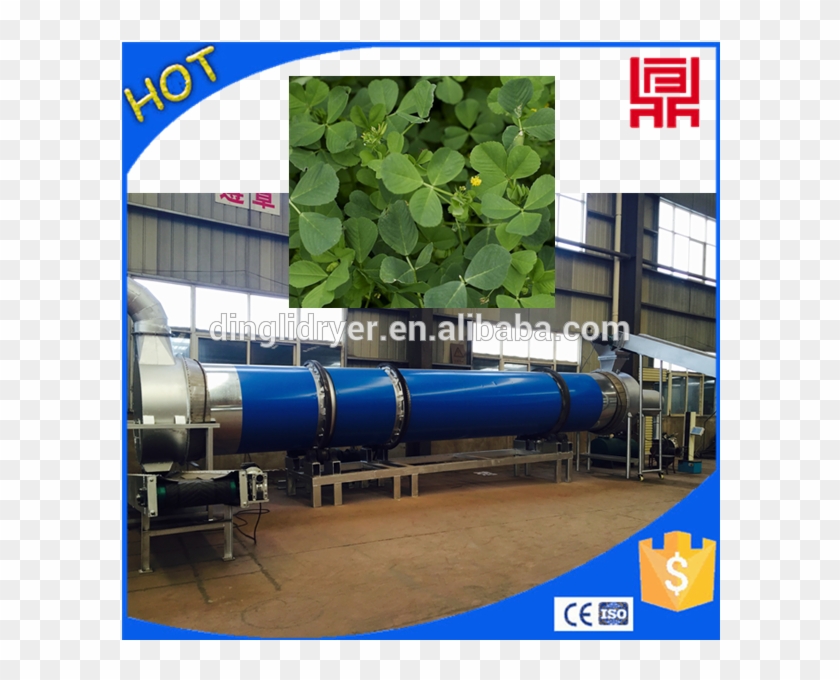 Alfalfa Leave Dryer Machine Alfalfa Hay Drying Plant - Sugarcane Bagasse Plastic Machinery Clipart
