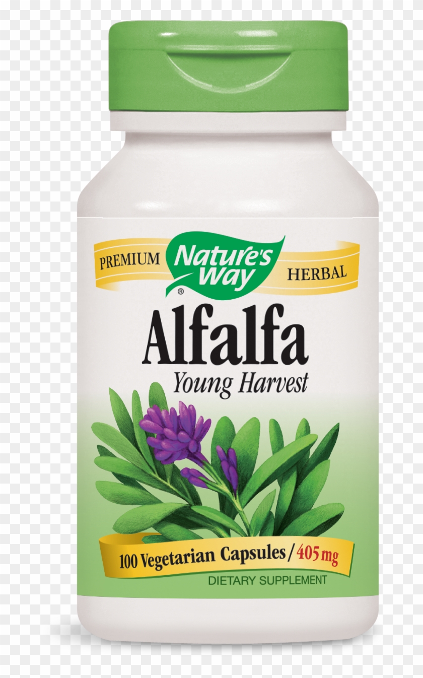 Nature's Way Vitex Clipart #4798433