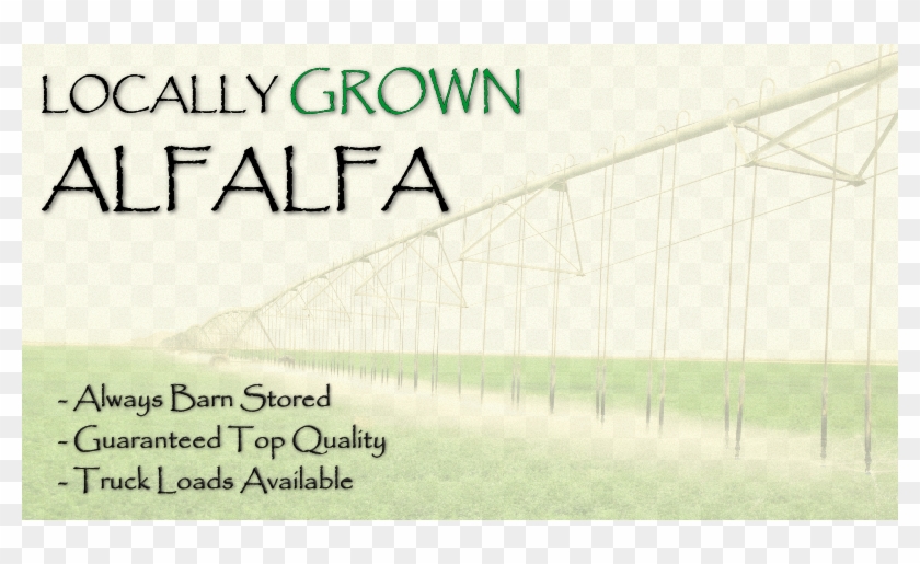 The Farmhouse Feed Store - Grass Clipart