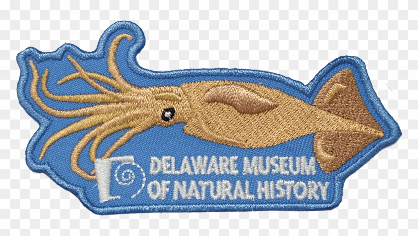 Dmnh Patches Are Available Purchase A Delaware Museum - Label Clipart #4799332
