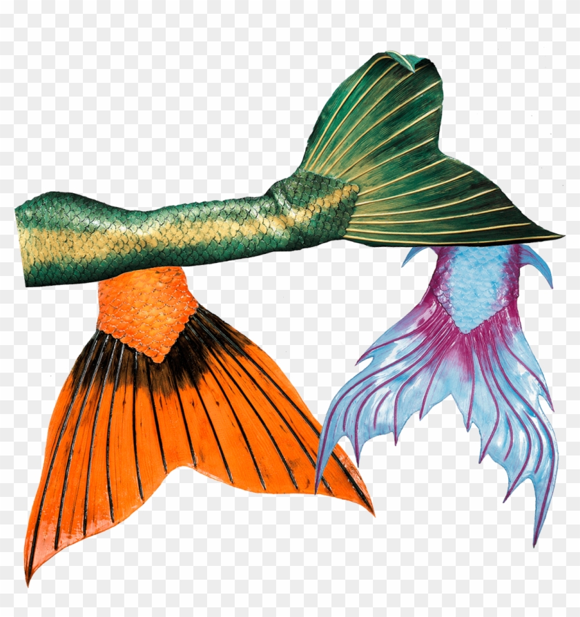 High Quality Silicone Mermaid Tails From Mermaid Kat - Illustration Clipart