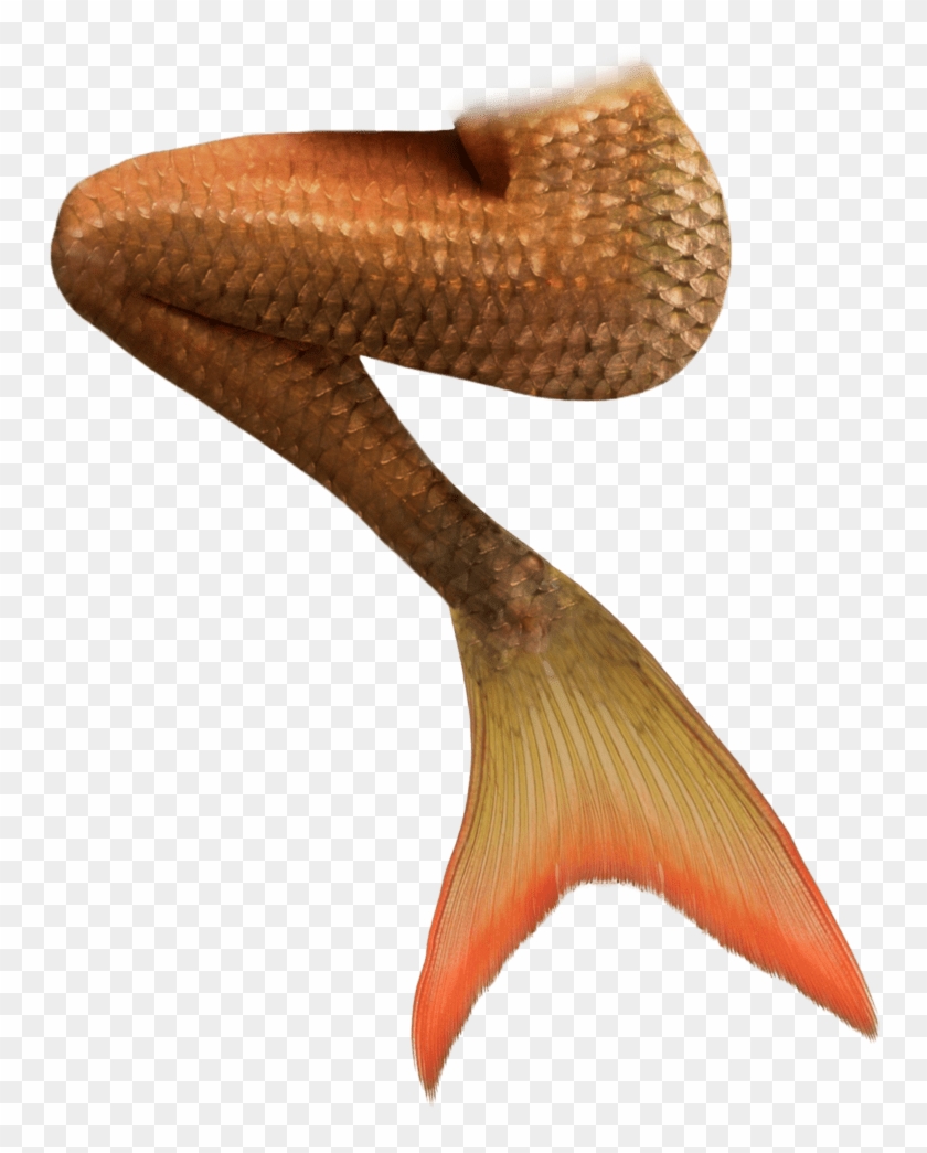 Orange Mermaid Tails - Cauda De Sereia Imagens Clipart