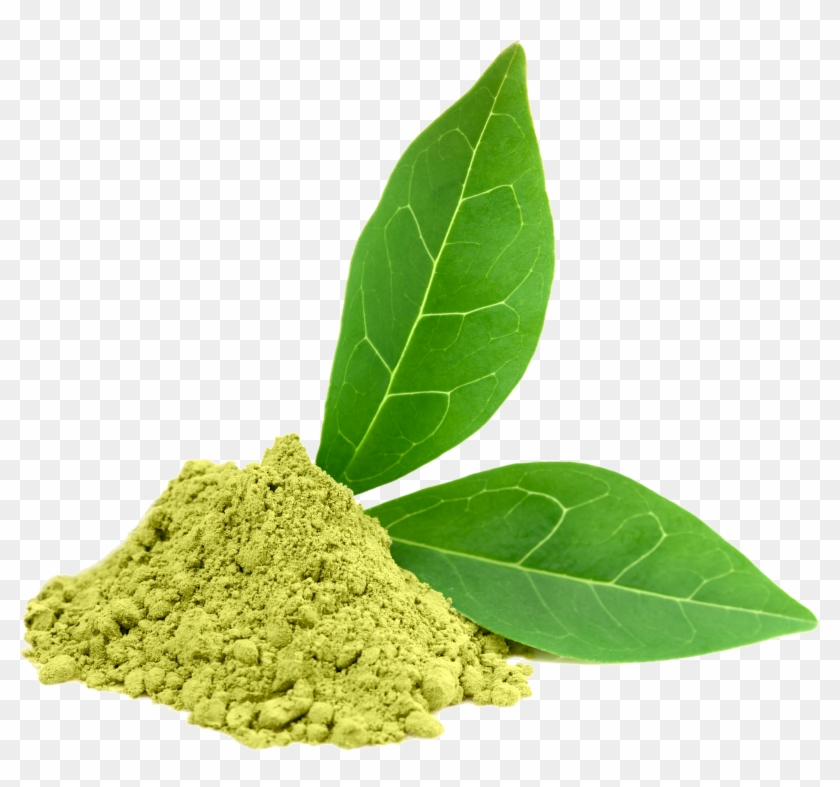 Green Tea Png Photos - Green Tea Extract Png Clipart