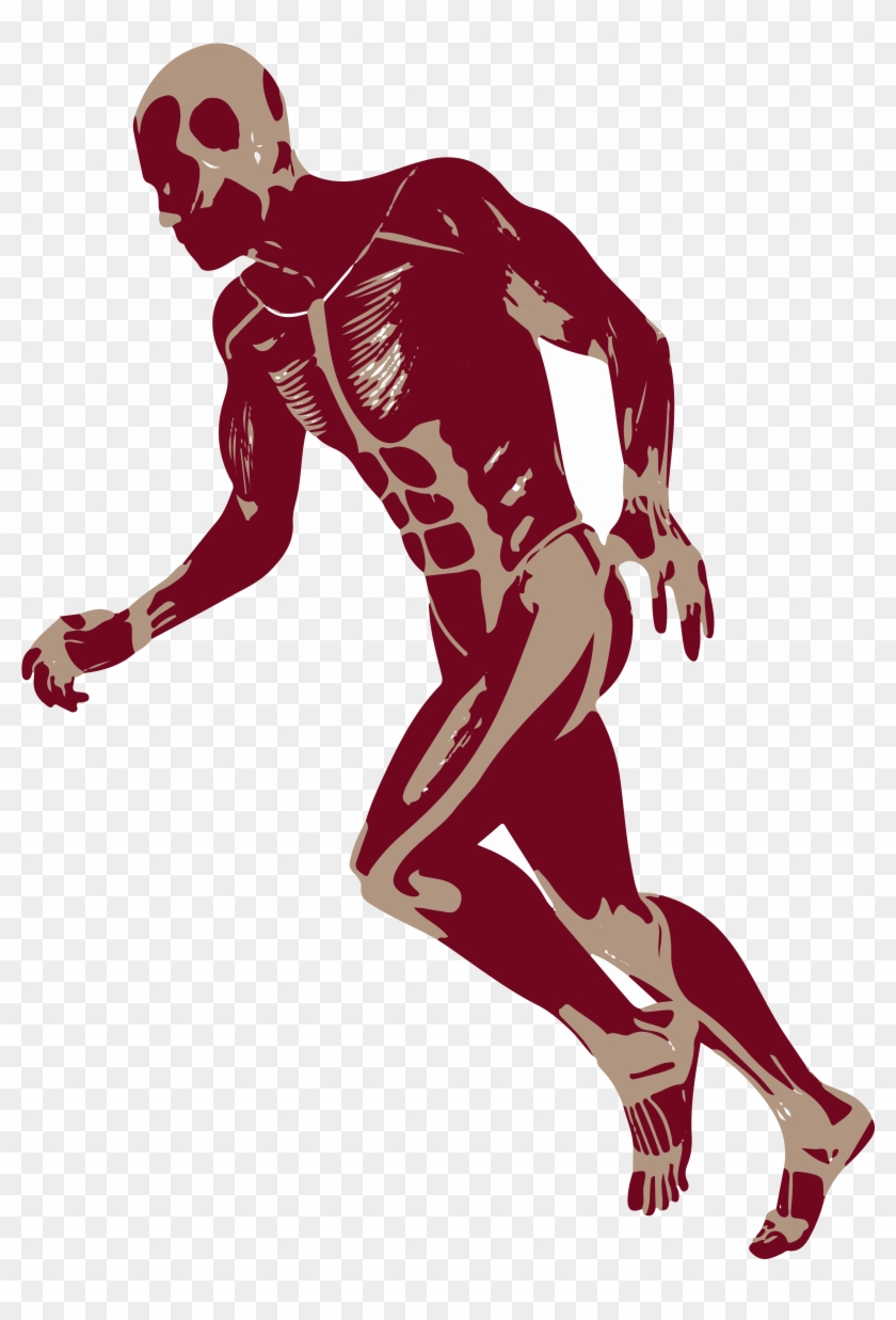 3d Running Man Muscles Anatomy D Png - Muscles Png Clipart #482514