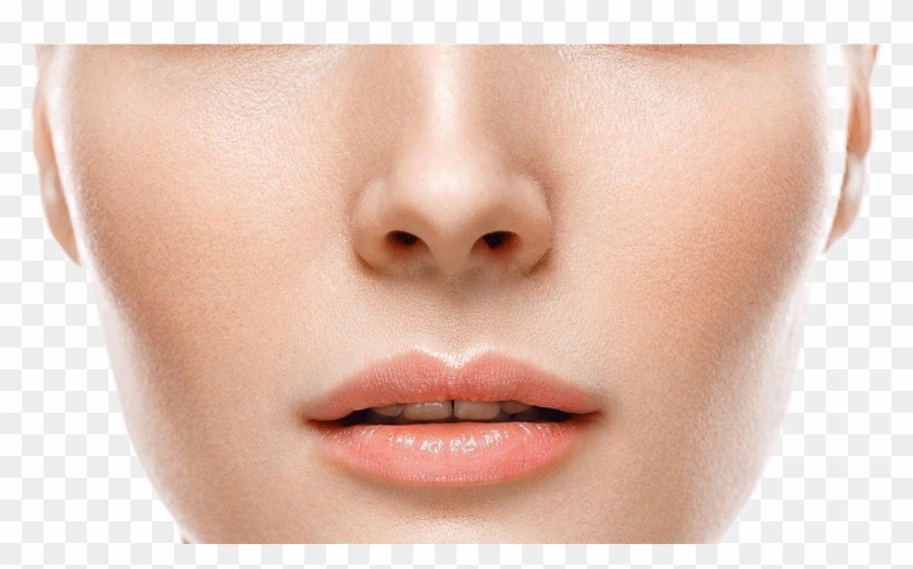 Nose Png Image Background - Transparent Background Nose Png Clipart