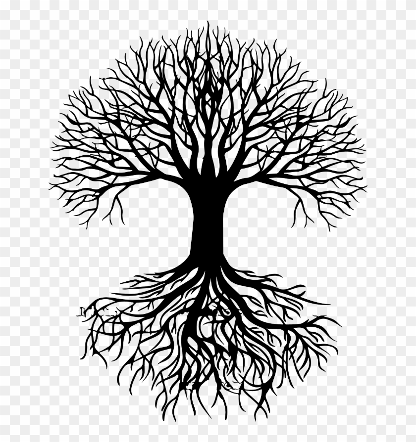 Roots Drawing Oak Tree - Tree Roots Silhouette Png Clipart