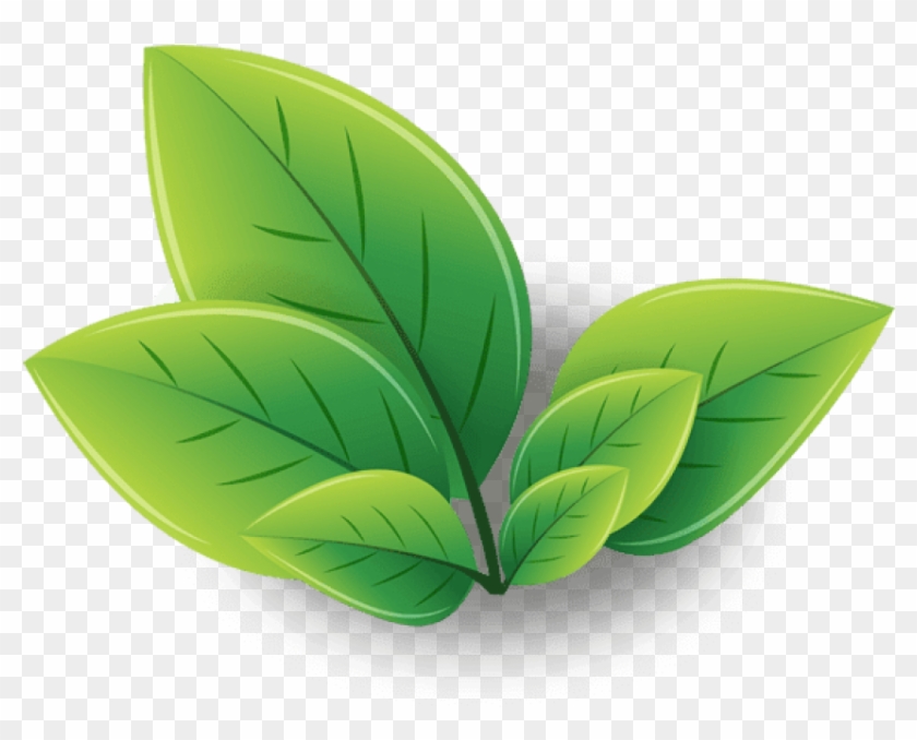 Free Png Download Green Tea Png Images Background Png - Clip Art Green Tea Png Transparent Png #483654