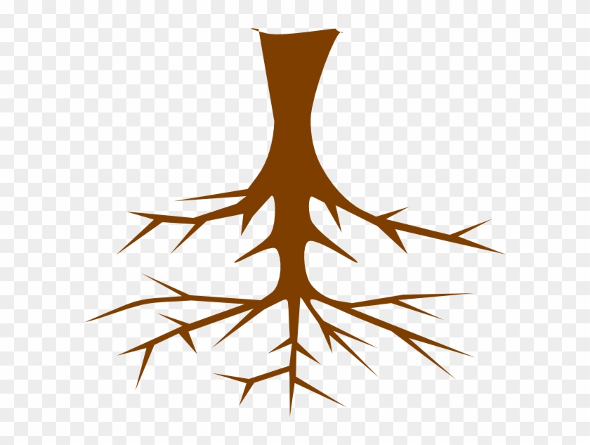 Roots Clipart At Getdrawings - Clipart Images Of Root - Png Download