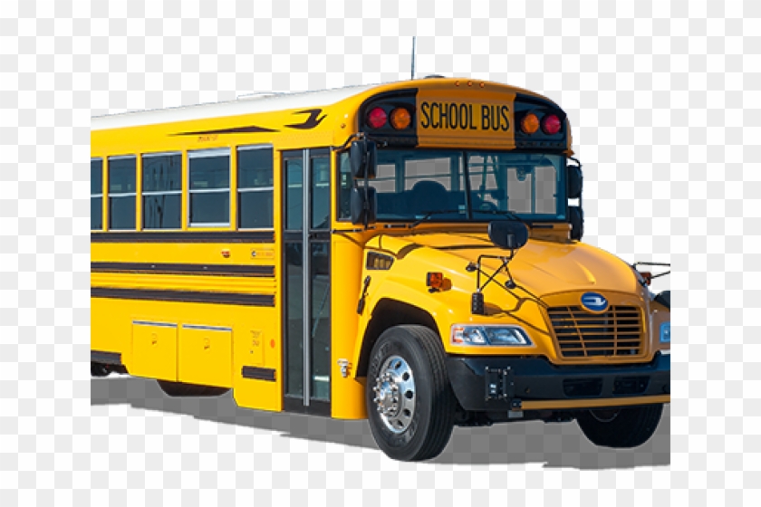2017 Bluebird School Bus Clipart #484220