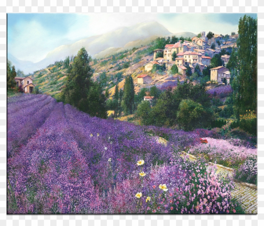 Lavender Fields - Lavender Fields Art Clipart