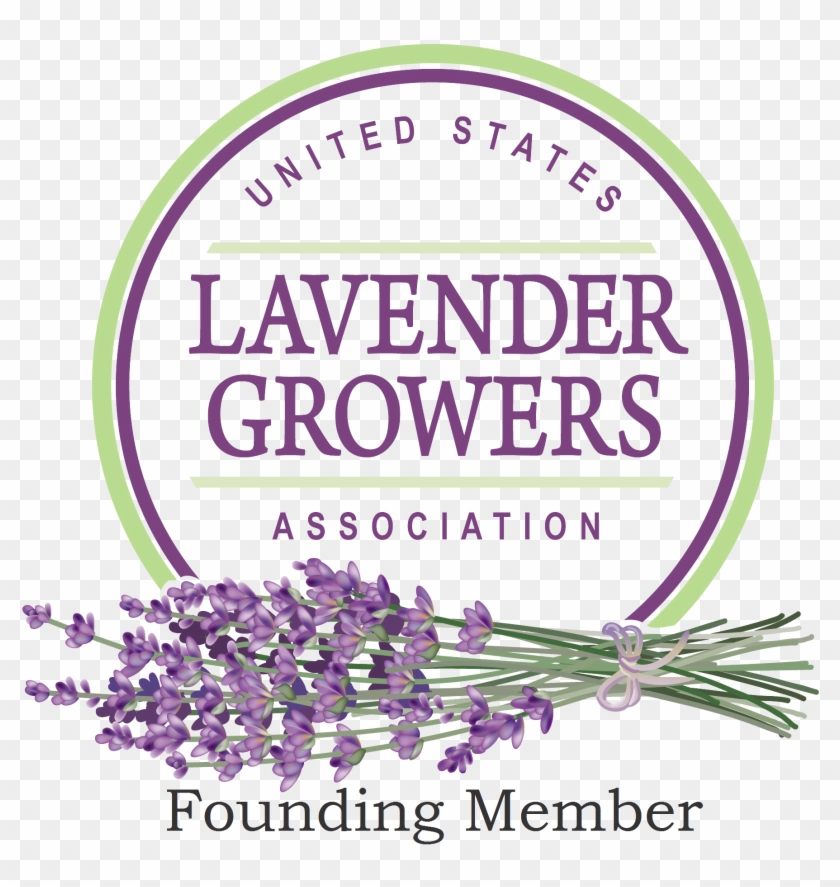 Us Lavender Growers Founding - Lavender Farm Logo Clipart #484342