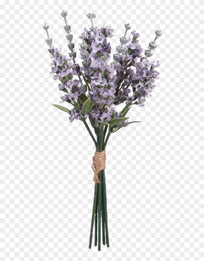 Pngs /like Or Reblog If Used/ - English Lavender Clipart #484506