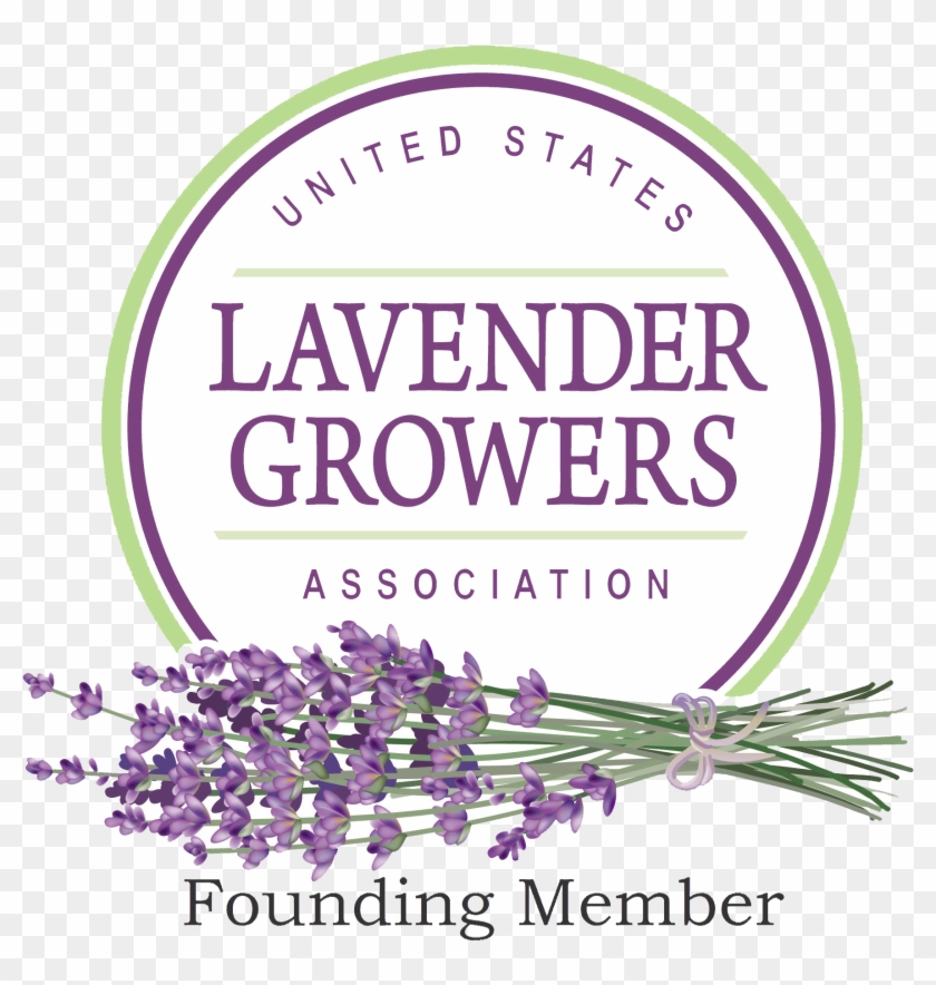 Logo Founder Cfsa Scag - Flower Clipart