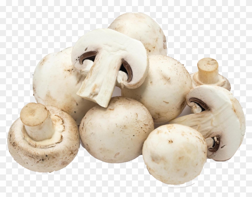 Mushroom Png Clipart #485092