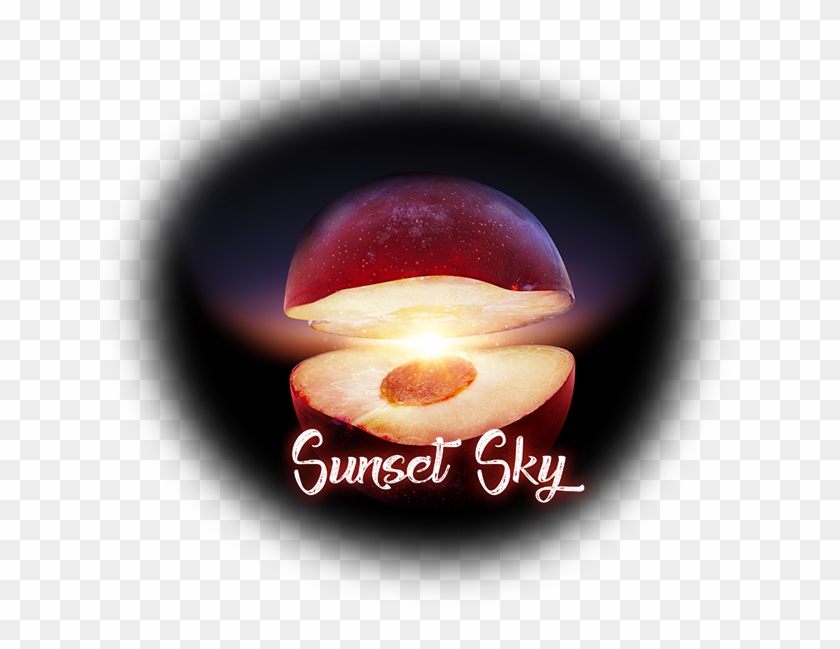 A Pleasure For All The Senses Clipart #486373