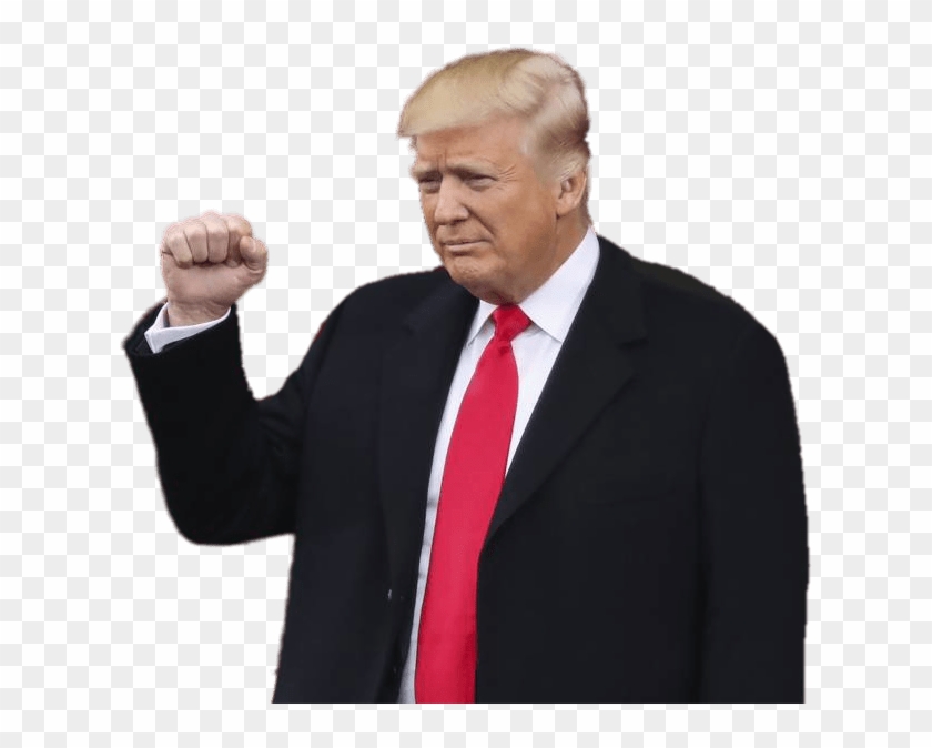 Donald Trump Inauguration - Donald Trump Png Clipart #487591