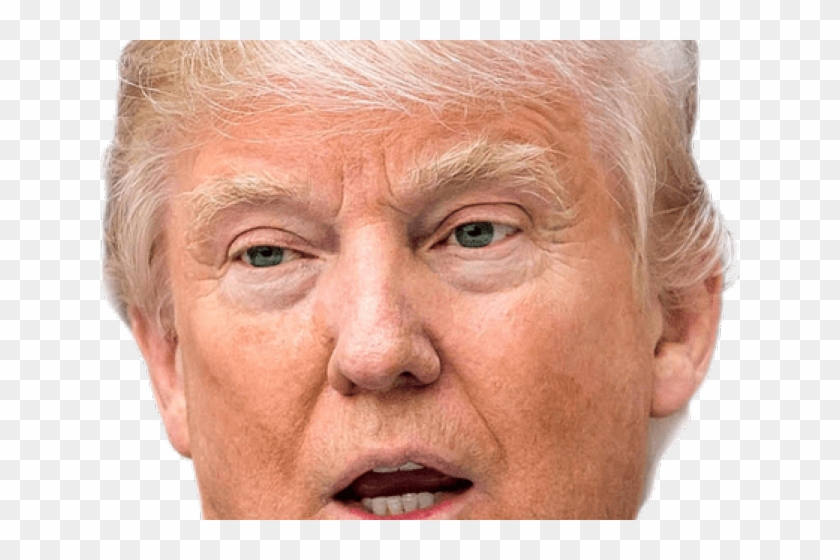 Head Clipart Donald Trump - Meme Im Already Tracer - Png Download