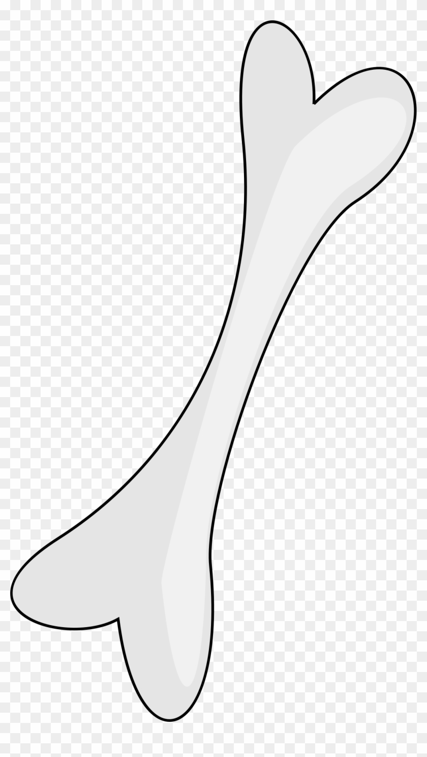 Bone Transparent - Line Art Clipart #488318