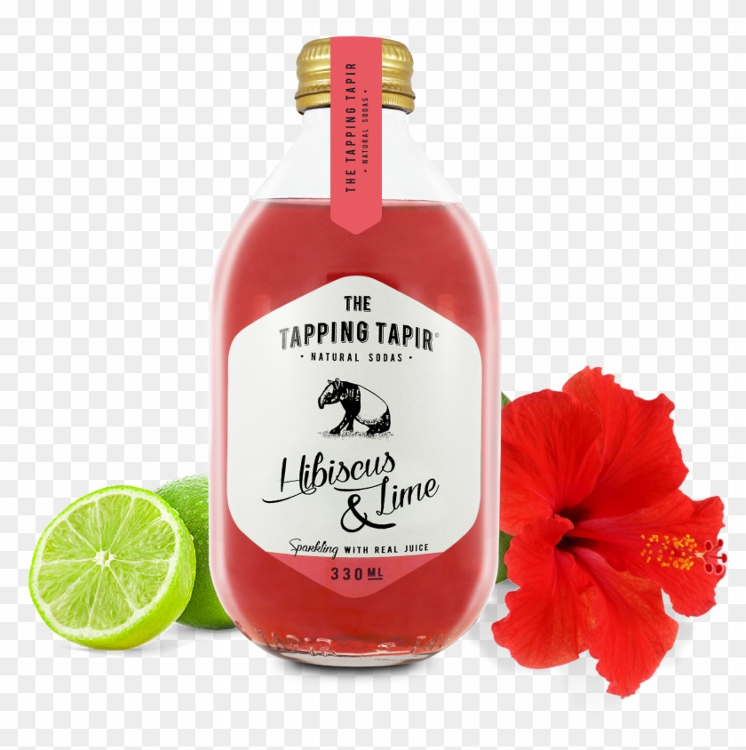 Hibiscus & Lime , Png Download Clipart #489543