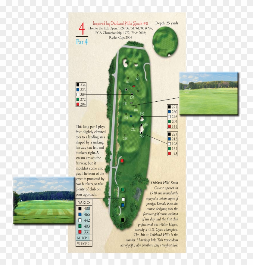 5th Hole Par - Golf Course Replica Clipart #4800579