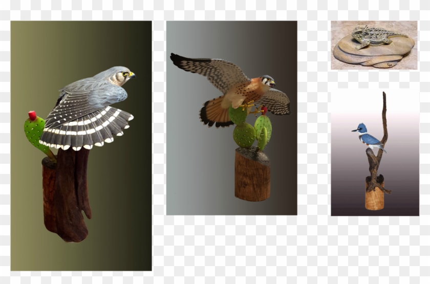 Picture - Hawk Clipart