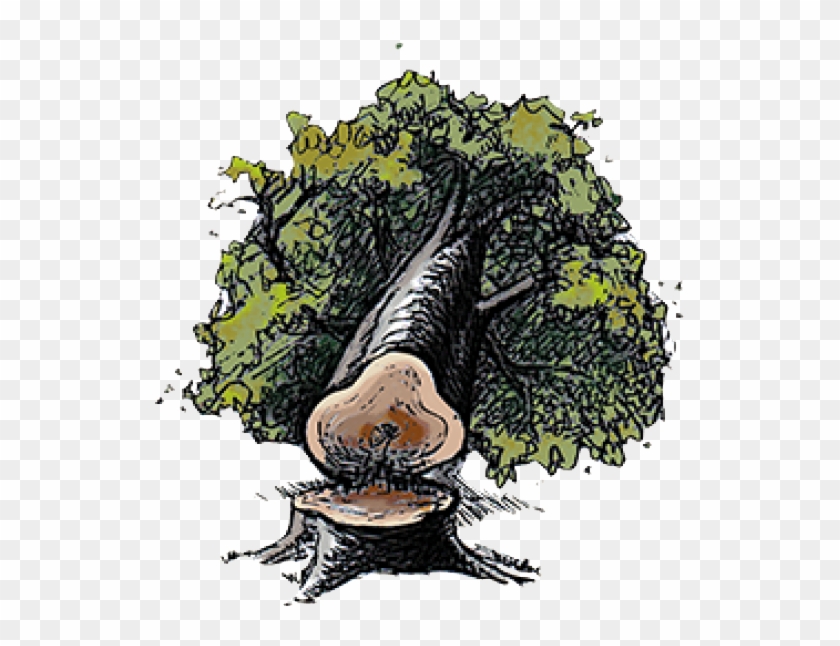 Greenpeace Africaverified Account - Illustration Clipart #4802800