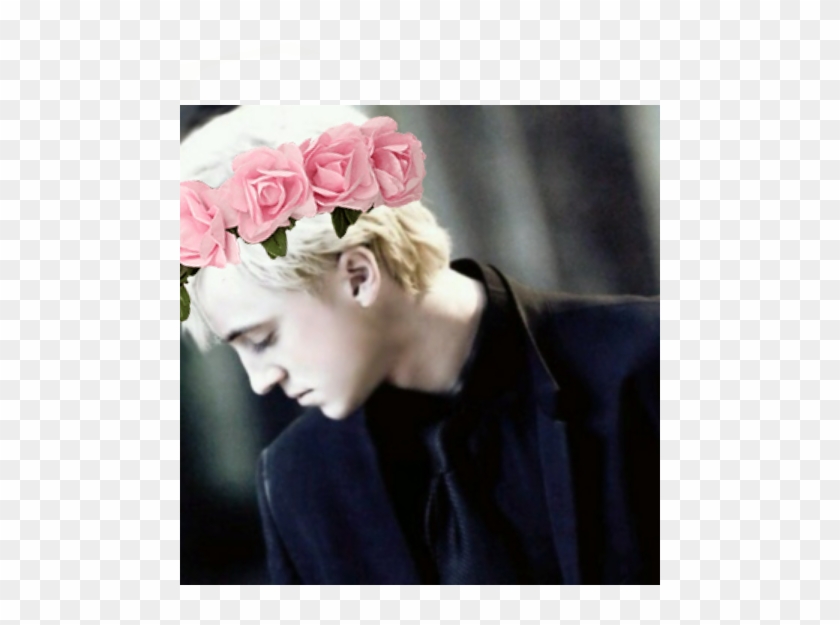 Draco Malfoy, Harry Potter, And Tom Felton Image - Draco Malfoy Clipart #4803201