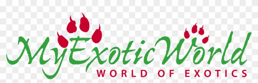 Graphic Design Clipart #4804443