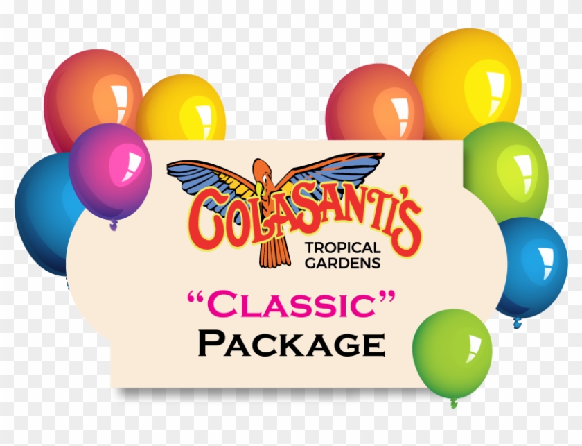 Birthday Party Activity Card Colasantis - Graphic Design Clipart #4805226