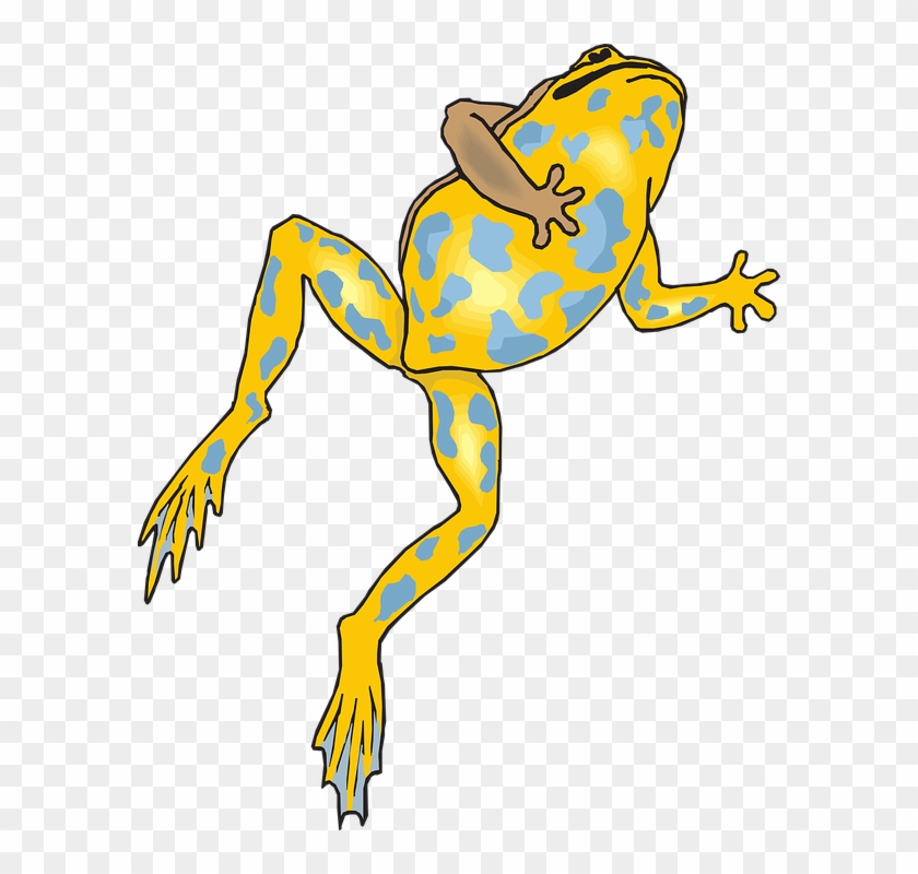 Dead Frog Transparent Background Clipart #4805581