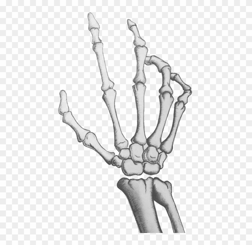 Bone Hand Png Clipart