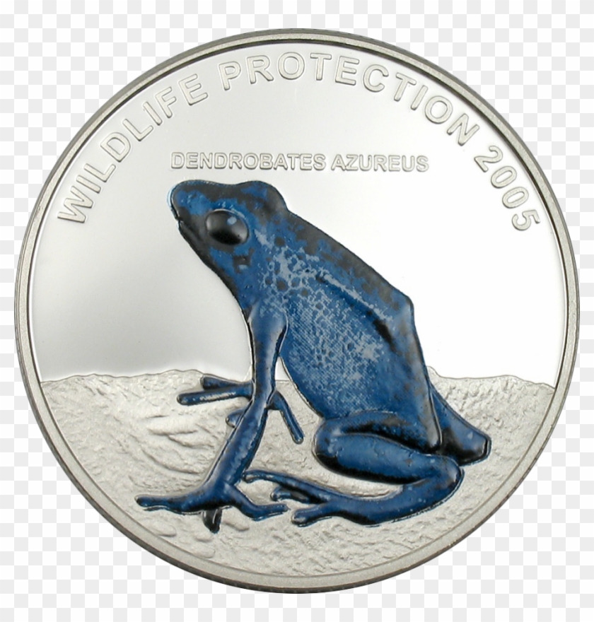 Frog - Bufo Clipart #4805991