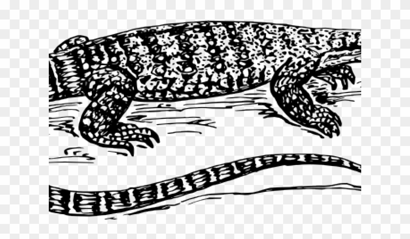 Related Posts - Monitor Lizard Drawing Clipart #4806031