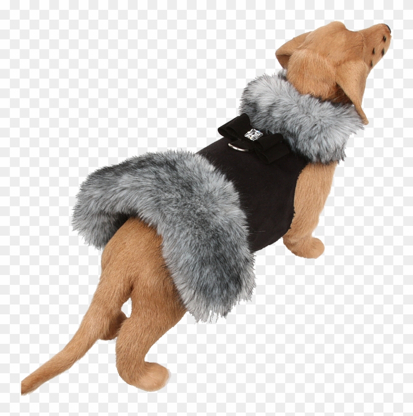 Fur Dog Coat Clipart #4806584