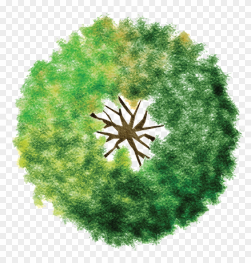 Site Plan Raster Rendering Clipart #4808210