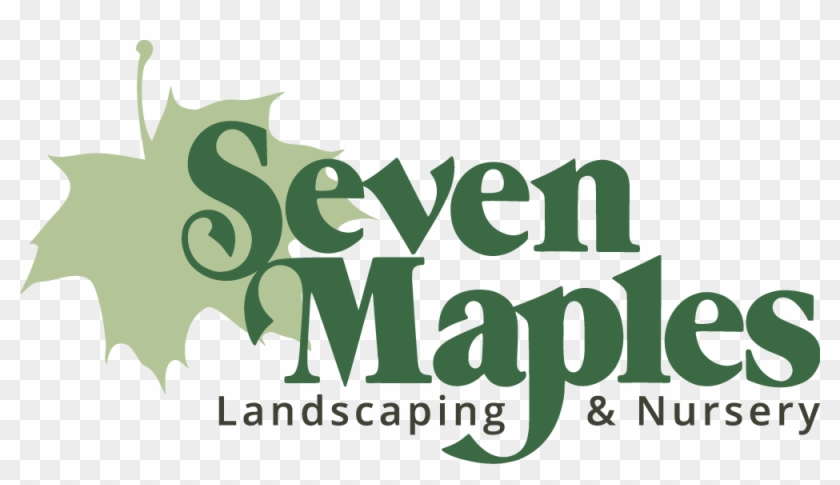 Graphic Design Clipart #4808331