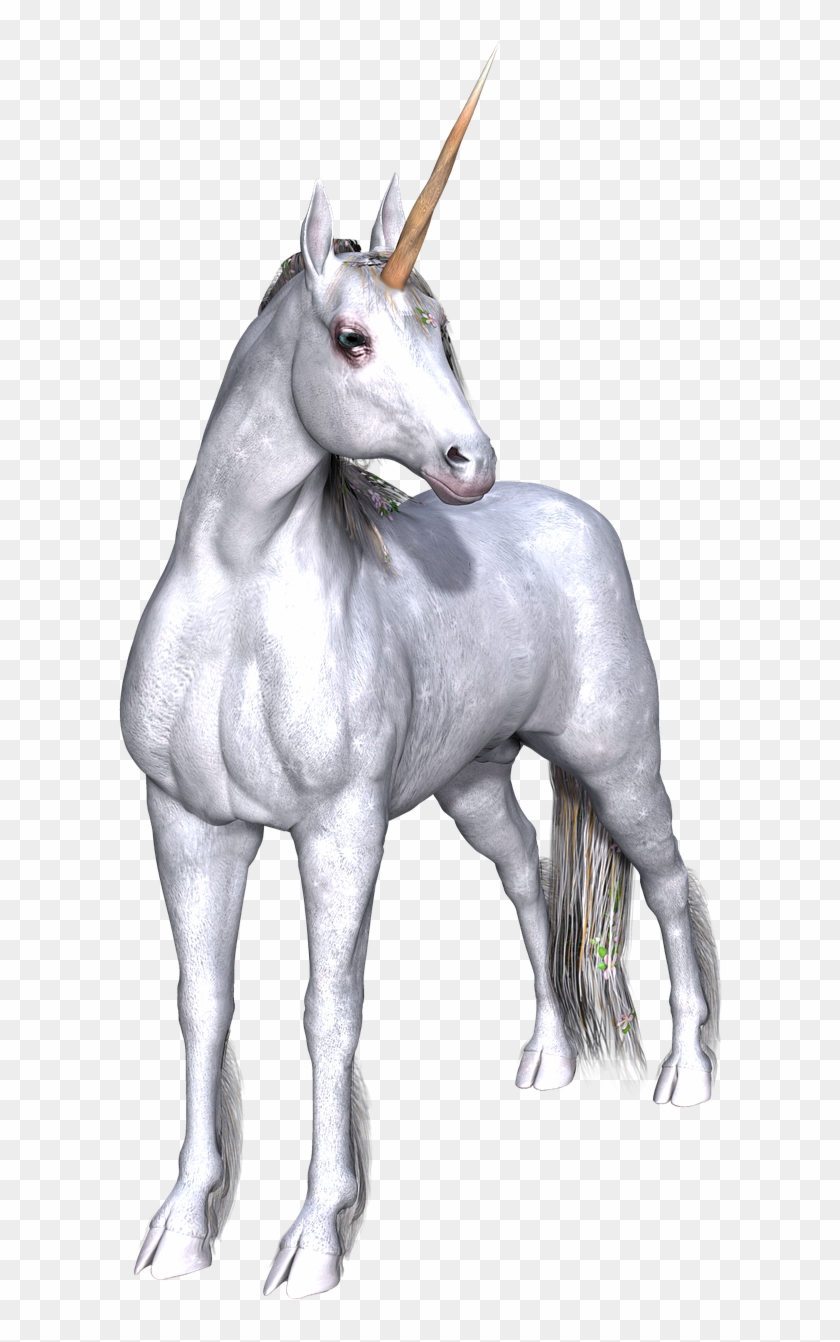 Unicorn Fantasy Fairy Tale Png Image - Unicorn Real Life Transparent Clipart