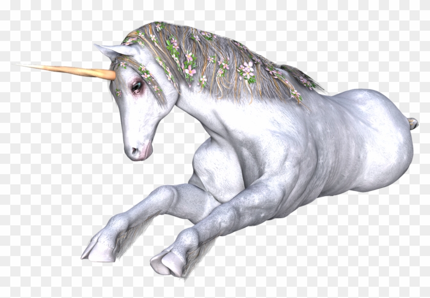 Unicorn Fantasy Fairy Tale Png Image - Fairy Unicorn Png Clipart #4809054