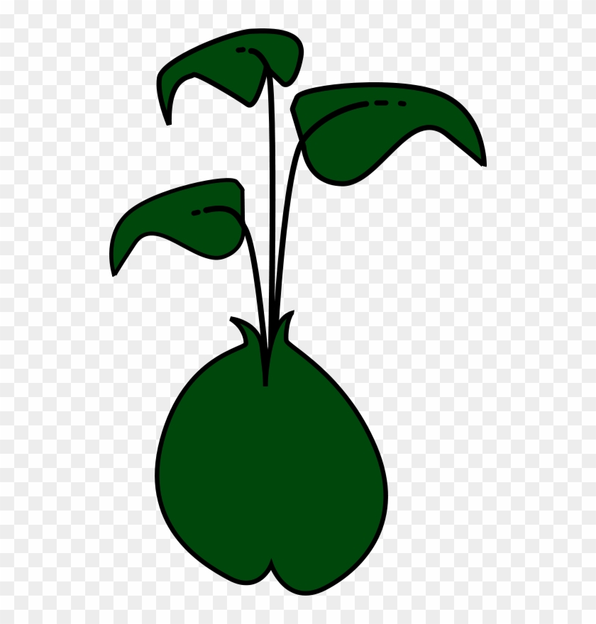 Bean Sprout Cartoon - Brotar Png Clipart #4810107